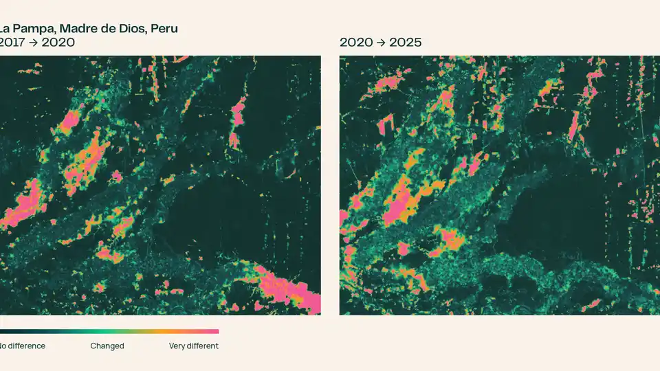 False-color embedding change maps of La Pampa, Peru, showing gold mining spread between 2017 and 2025