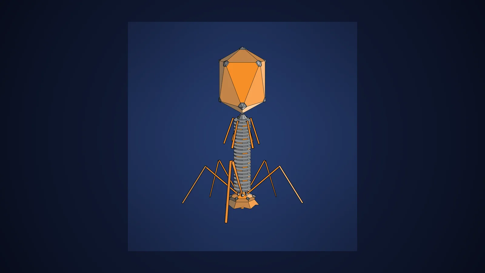 Diagram of a bacteriophage, the virus in whose DNA Claude found the ART enzyme system