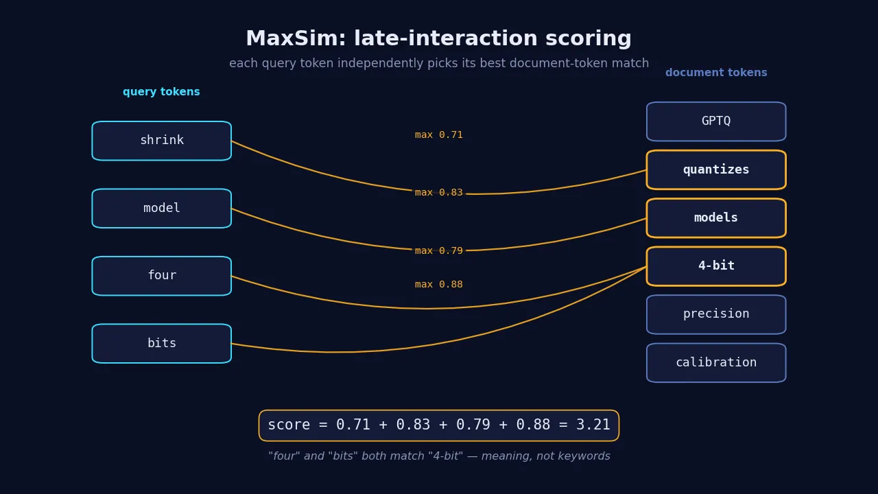 Diagram of MaxSim late interaction: each query token embedding connects to its highest-similarity document token embedding, and the maxima are summed into the final score
