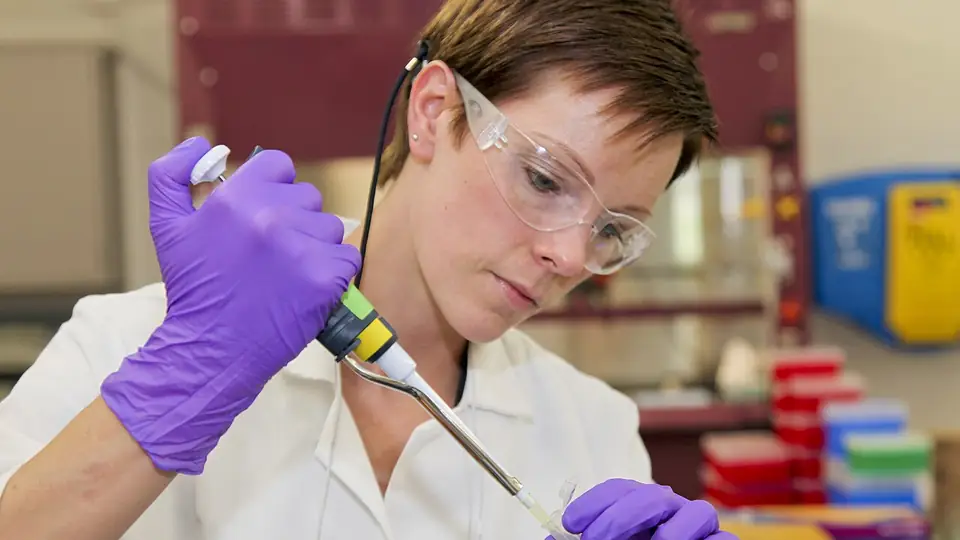 Researchers working in a scientific laboratory