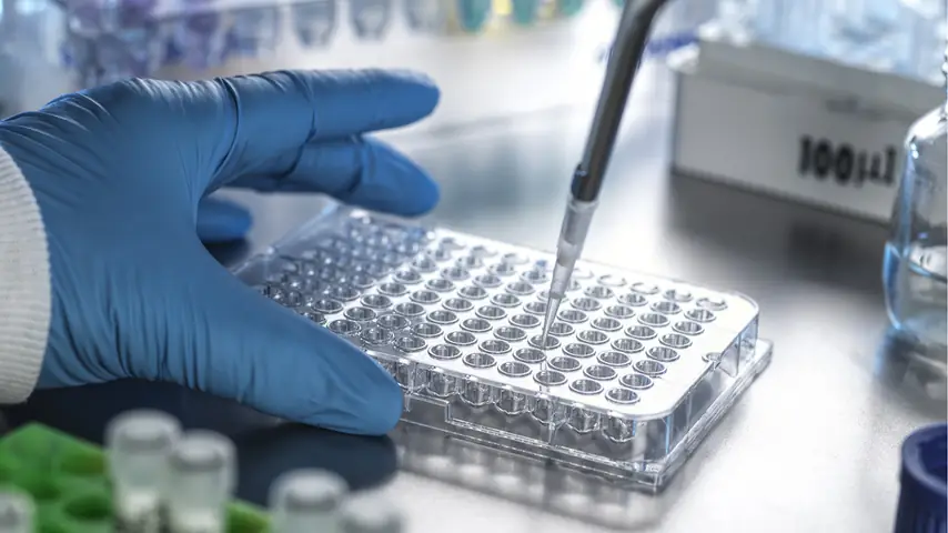 Scientist pipetting clinical samples into a multi-well plate