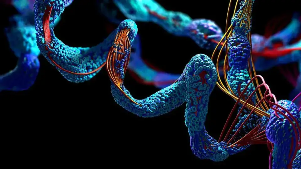 An AlphaFold protein-structure visualization, one of the scientific tools in Google's package
