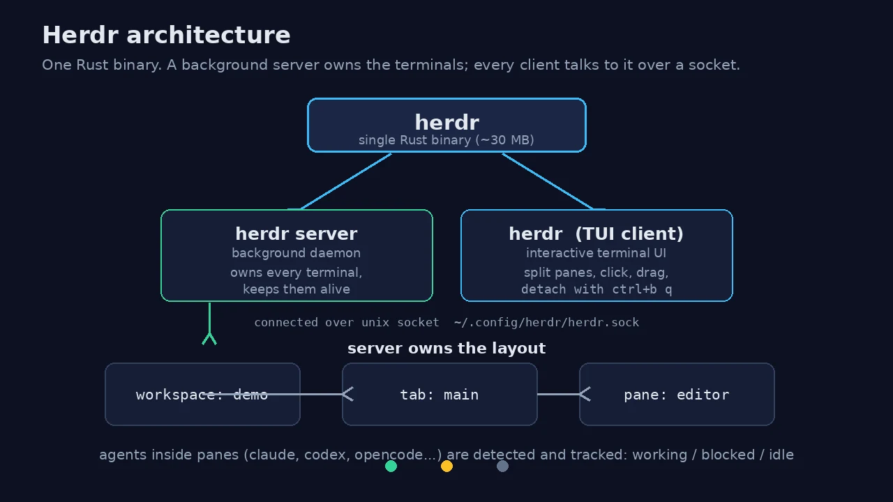Architecture diagram: the single herdr Rust binary runs as a background server owning terminals and as an interactive TUI client, connected over a Unix socket, with workspaces, tabs, and panes below