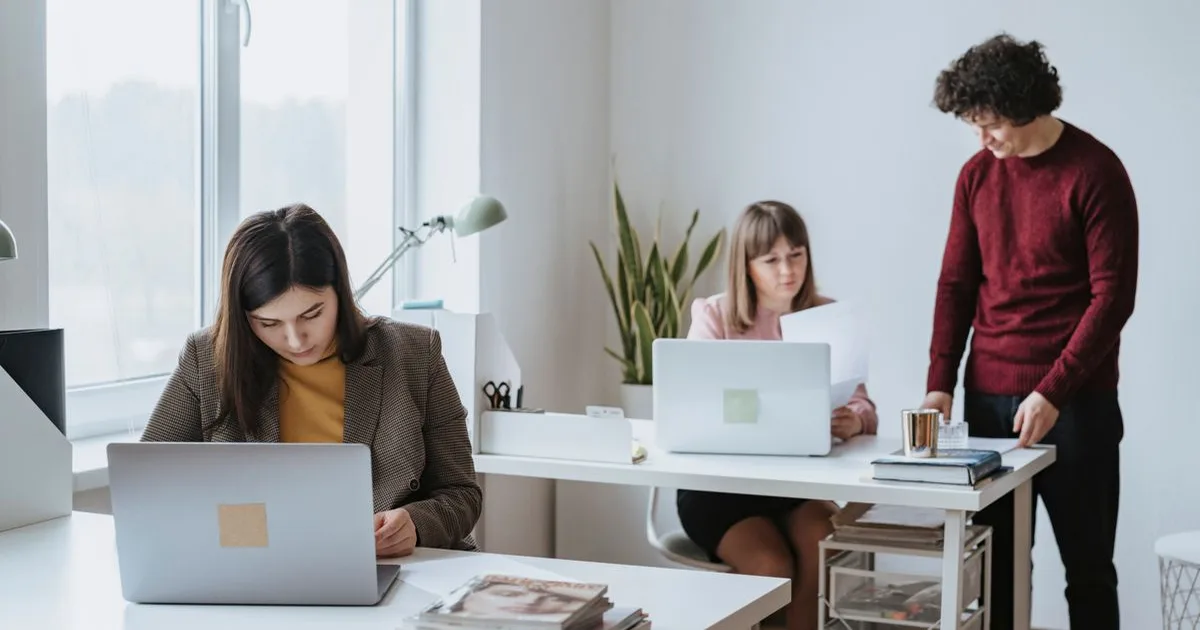 Office workers with laptops in a modern workplace