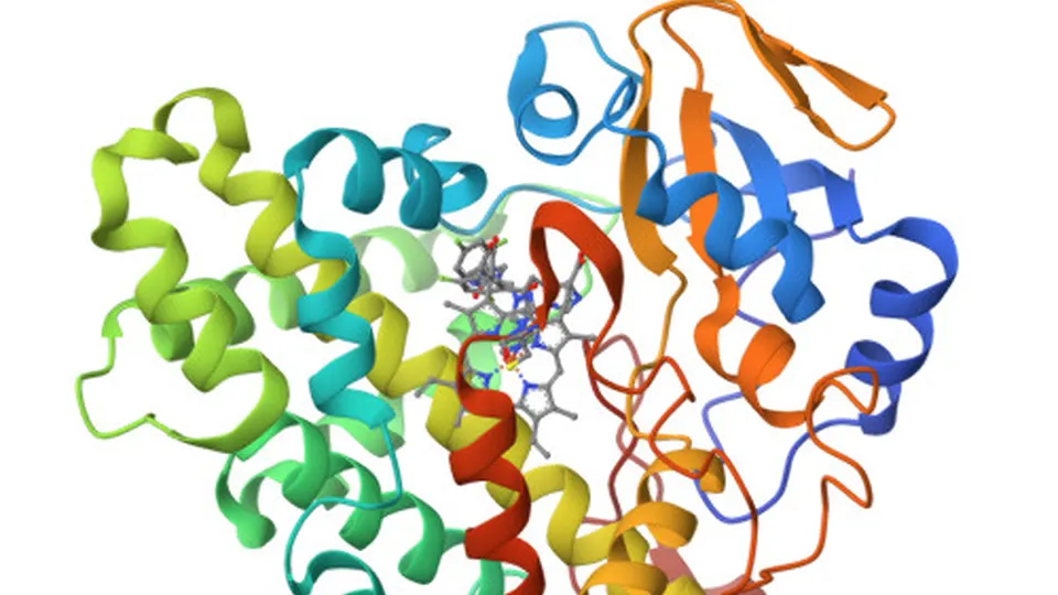 A 3D rendering of an enzyme in complex with a small-molecule drug — the kind of structure RFD4-Proteina designs alongside the protein sequence