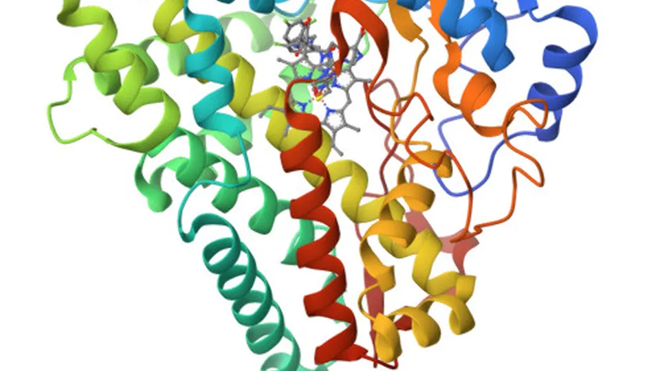 Enzyme and drug complex viewed at a different angle — AI-designed biocatalysts could speed up drug manufacturing