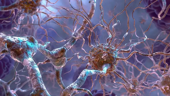 Neurons illustration