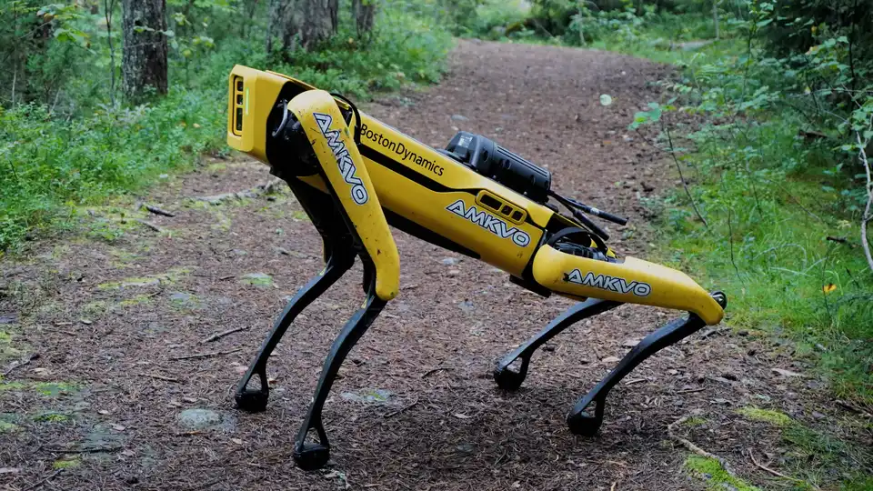A Spot quadruped robot walking a forest trail